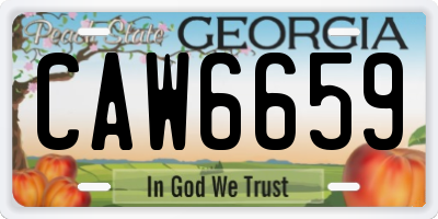 GA license plate CAW6659