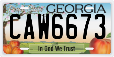 GA license plate CAW6673