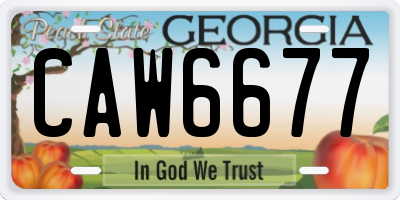 GA license plate CAW6677