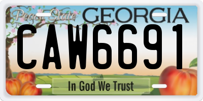 GA license plate CAW6691