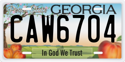 GA license plate CAW6704