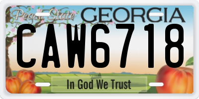 GA license plate CAW6718