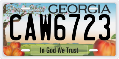 GA license plate CAW6723