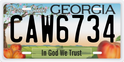 GA license plate CAW6734