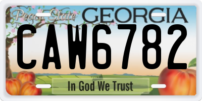 GA license plate CAW6782