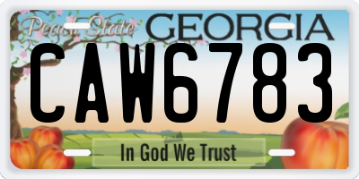 GA license plate CAW6783