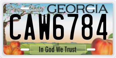 GA license plate CAW6784