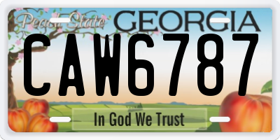 GA license plate CAW6787