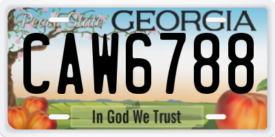 GA license plate CAW6788