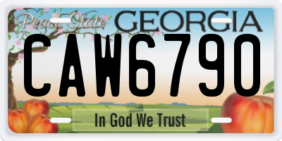 GA license plate CAW6790
