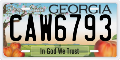 GA license plate CAW6793
