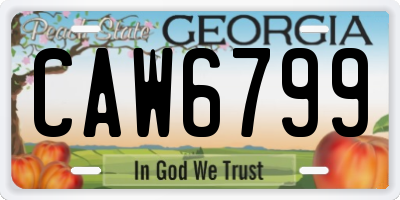GA license plate CAW6799