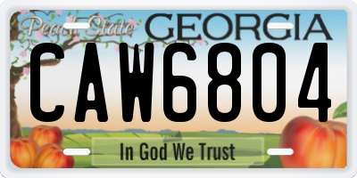 GA license plate CAW6804