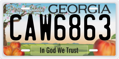GA license plate CAW6863