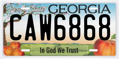 GA license plate CAW6868