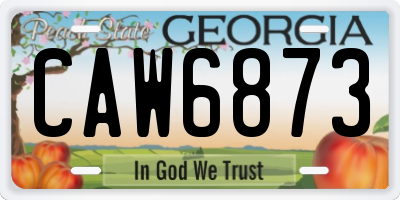GA license plate CAW6873