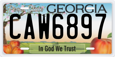 GA license plate CAW6897