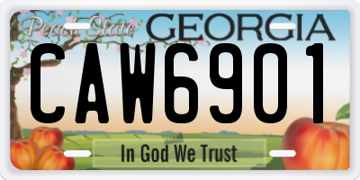 GA license plate CAW6901