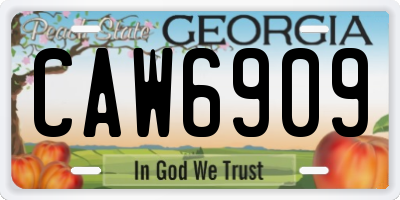 GA license plate CAW6909
