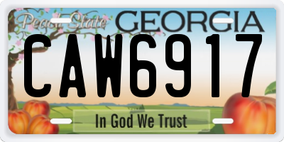 GA license plate CAW6917