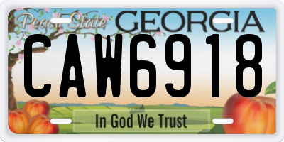 GA license plate CAW6918