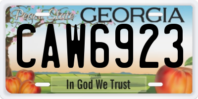 GA license plate CAW6923