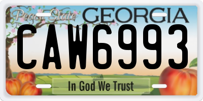 GA license plate CAW6993