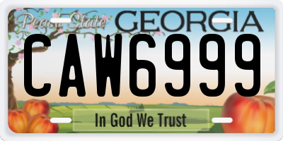 GA license plate CAW6999