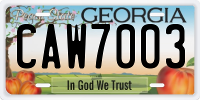 GA license plate CAW7003