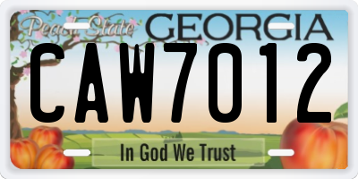 GA license plate CAW7012