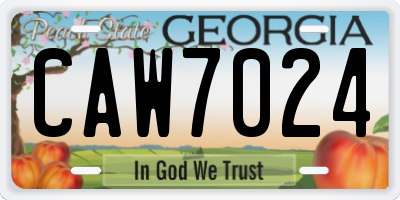 GA license plate CAW7024