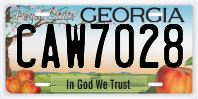 GA license plate CAW7028