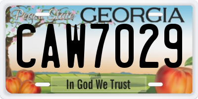 GA license plate CAW7029