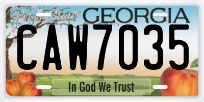 GA license plate CAW7035