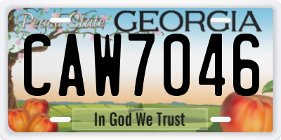 GA license plate CAW7046