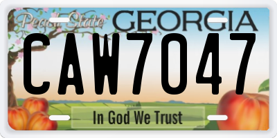 GA license plate CAW7047