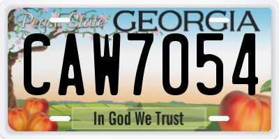 GA license plate CAW7054