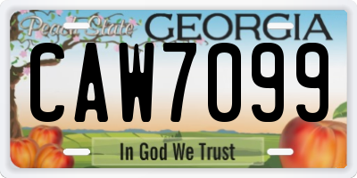 GA license plate CAW7099