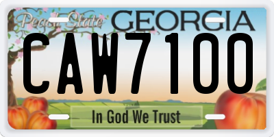 GA license plate CAW7100