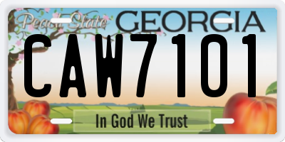 GA license plate CAW7101