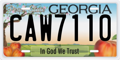 GA license plate CAW7110