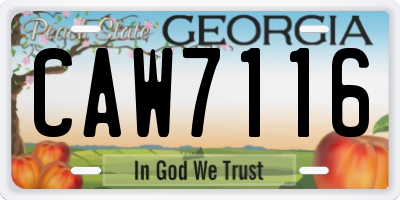 GA license plate CAW7116