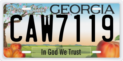 GA license plate CAW7119