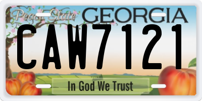GA license plate CAW7121