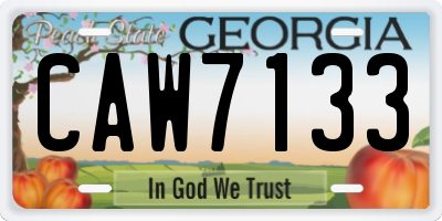 GA license plate CAW7133