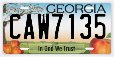 GA license plate CAW7135