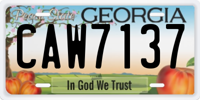 GA license plate CAW7137
