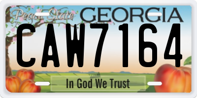 GA license plate CAW7164