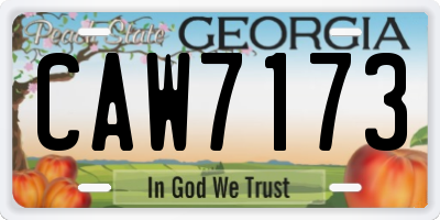 GA license plate CAW7173