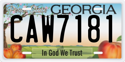 GA license plate CAW7181
